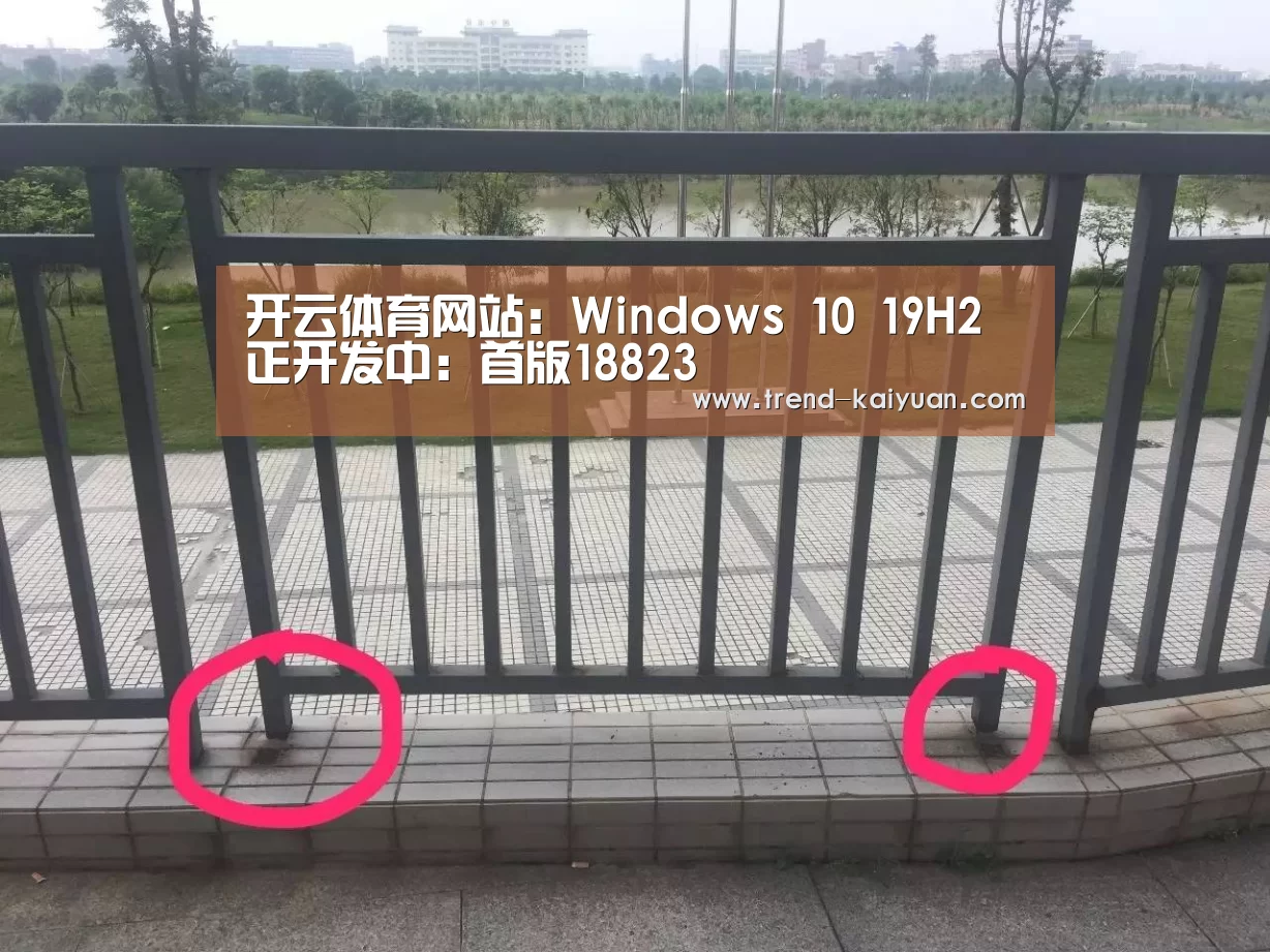 开元体育