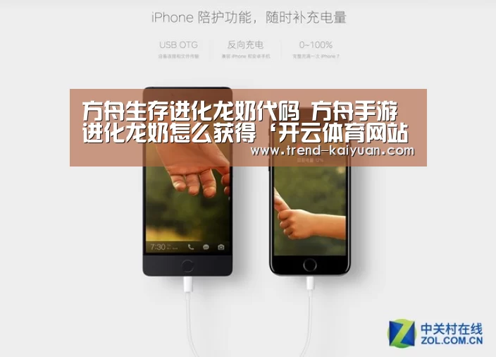 开云体育网站