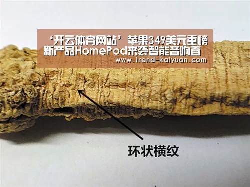 ‘开云体育网站’苹果349美元重磅新产品HomePod来袭智能音响首批100万台(图2) 开云体育电竞竞猜