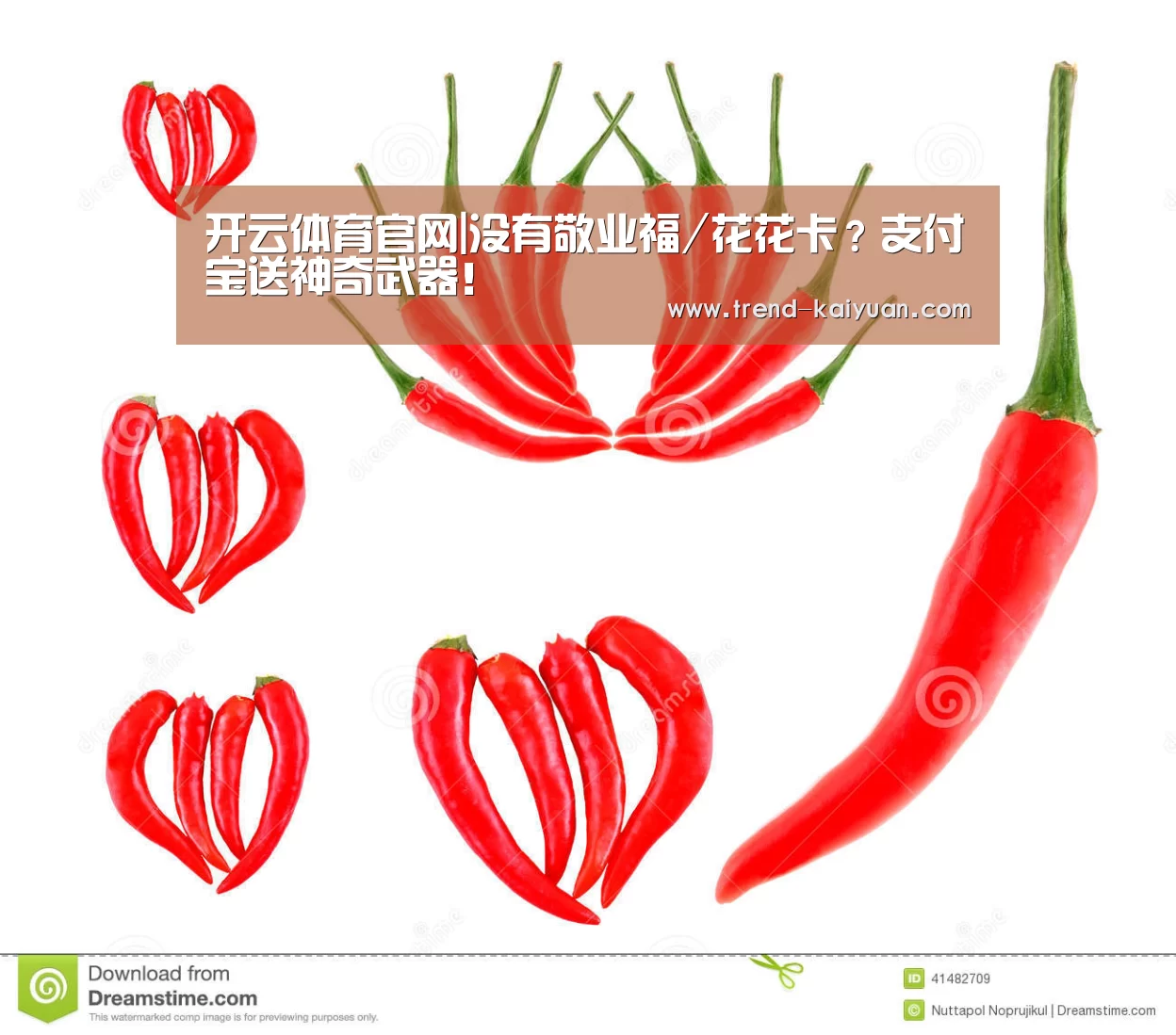 开云体育官网