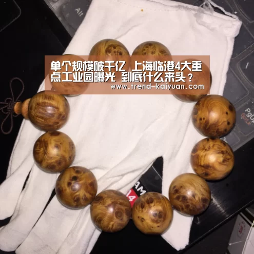 开云体育官网